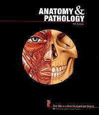 Anatomy and Pathology