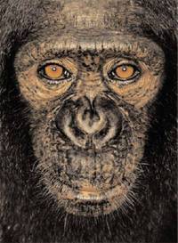 James Mollison: James & Other Apes