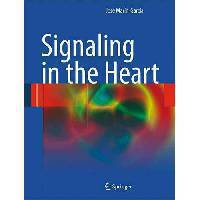 Signaling in the heart