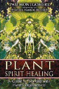 Plant Spirit Healing: A Guide to Working with Plant Consciousness
