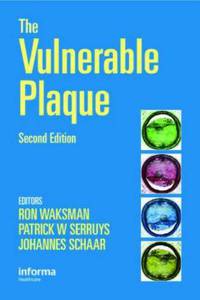 The Vulnerable Plaque
