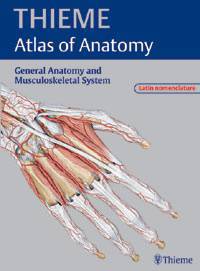 Prometheus: Musculoskeletal System