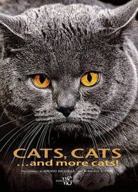 Cats, Cats...and more Cats!