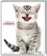 Kittens & Kittens
