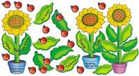 Sunflowers Bulletin Board Set (63 pieces)