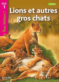 Lions et autres gros chats. Niveau 1