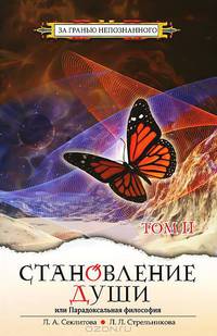 Становление души или Парадоксальная философия. В 2-х томах. Том 2
