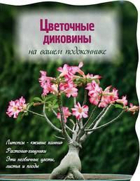 Цветочные диковины на вашем подоконнике (Вырубка. Цветы в саду и на окне (обложка))