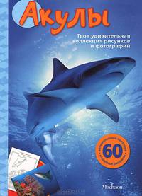Акулы