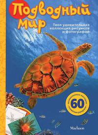 Подводный мир