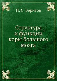 Структура и функции коры большого мозга