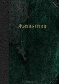 Жизнь птиц