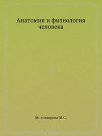 Анатомия и физиология человека