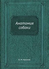 Анатомия собаки