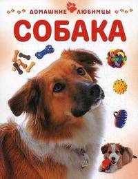 Собака