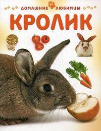 Кролик