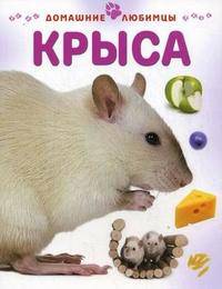 Крыса