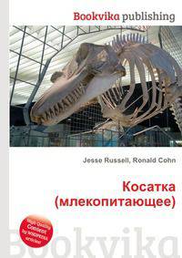 Косатка (млекопитающее)