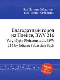 Благодатный город на Плейсе, BWV 216