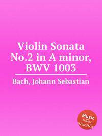 Соната для скрипки No.2 ля минор, BWV 1003. Violin Sonata No.2 in A minor, BWV 1003 by Johann Sebastian Bach