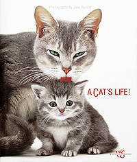 Cat's Life
