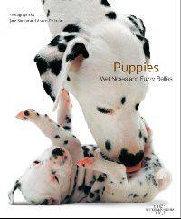 Puppies: Wet Noses and Fuzzy Bellies