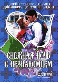 Снежная ночь с незнакомцем