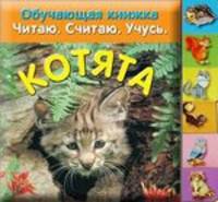 Котята. Обучающая книжка. Смотрю. Считаю. Учусь