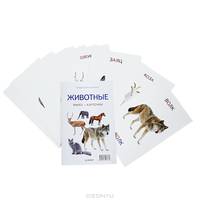 Животные (+ набор из 16 карточек)