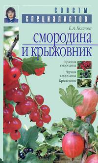 Смородина и крыжовник
