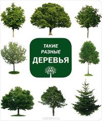Такие разные деревья