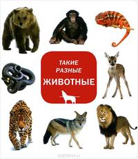 Такие разные животные