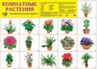 Демонстрационный плакат. Комнатные растения