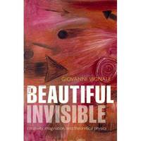 Beautiful Windows: The Ultimate Window Treatment Design Book