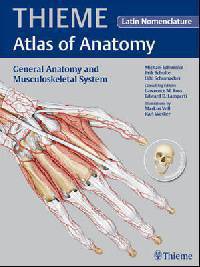 General Anatomy and Musculoskeletal System