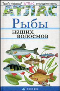 Эволюция двупозвоночных животных. Раздаточный материал (5-8)