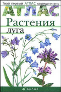 Растения луга. Твой первый атлас-определитель