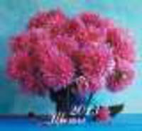 Календарь 2013. Цветы 12 л