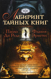 Лабиринт тайных книг