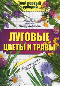 Луговые цветы и травы. Альбом юного натуралиста.