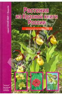 Растения из Красной книги России. Школьный путеводитель
