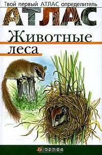 Животные леса