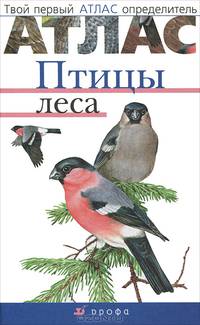 Птицы леса. (Твой первый атлас-определитель)