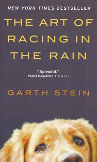 The Art of Racing in the Rain / Гонки на мокром асфальте
