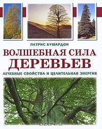 Волшебная сила деревьев. Лечебные свойства и целительная энергия