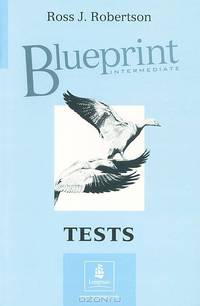 Blueprint Intermediate: Tests