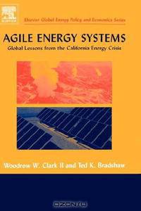 Agile Energy Systems: Global Lessons from the California Energy Crisis (Elsevier Topics in Global Energy Economics, Regulation and Policy)
