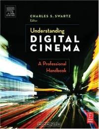 Understanding Digital Cinema : A Professional Handbook