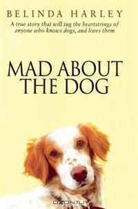 Mad About the Dog