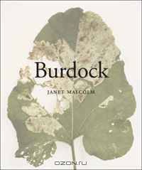 Burdock